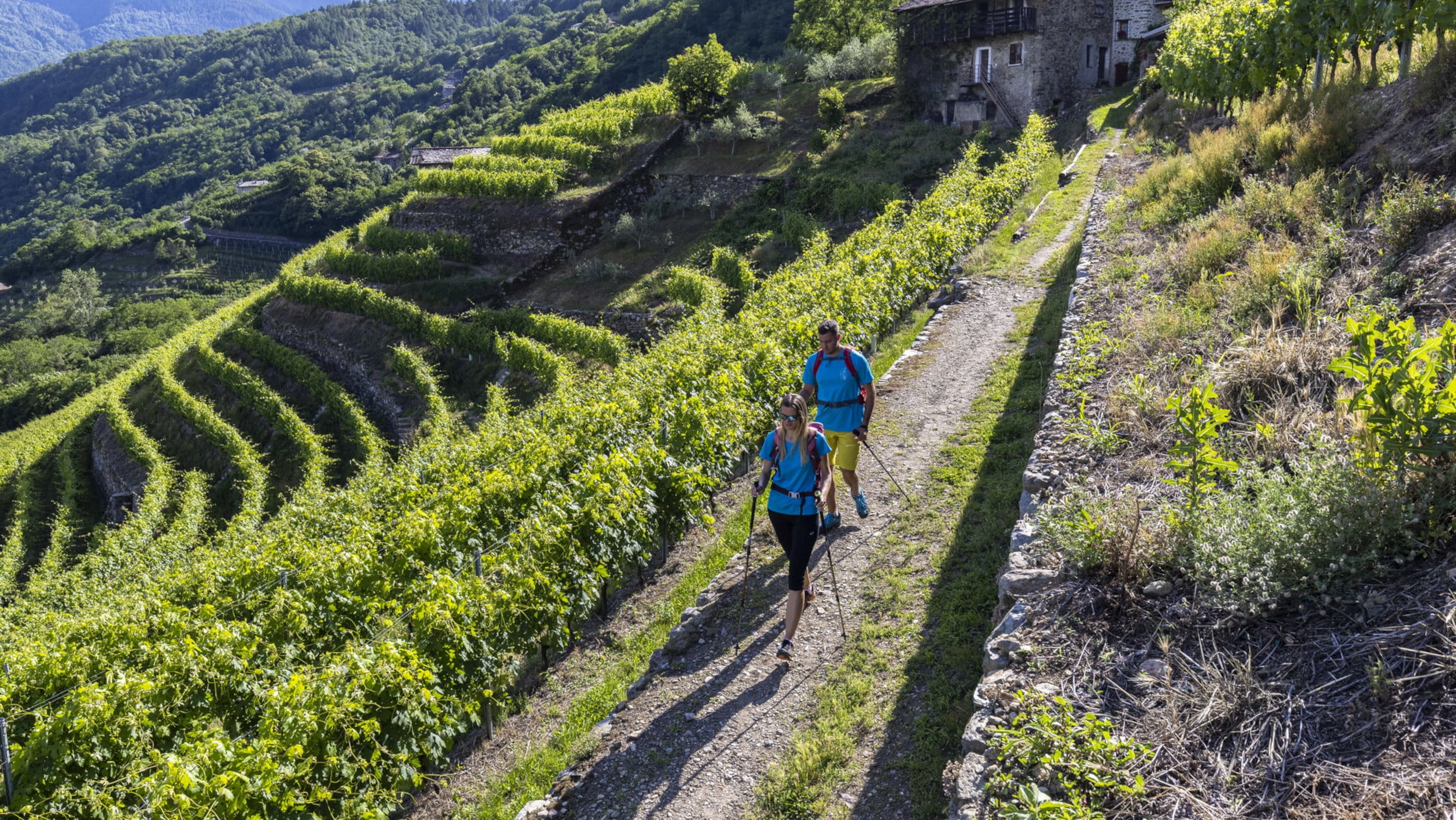 Itinerario tra i santuari mariani della provincia di Sondrio