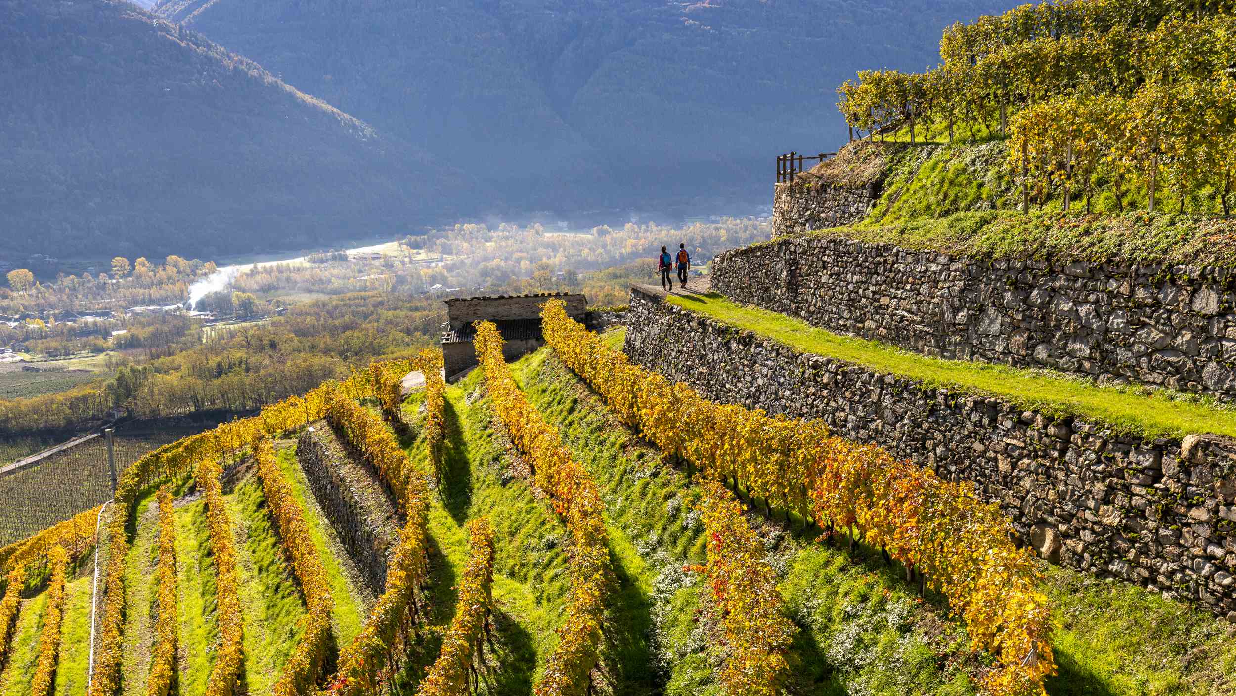 A walking route amongst the Marian sanctuaries of the province of Sondrio
